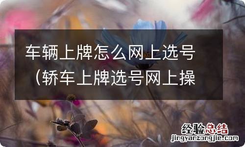 轿车上牌选号网上操作 车辆上牌怎么网上选号