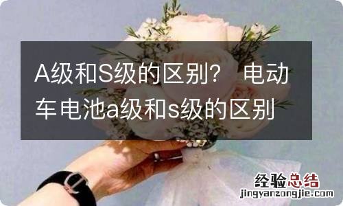 A级和S级的区别？ 电动车电池a级和s级的区别