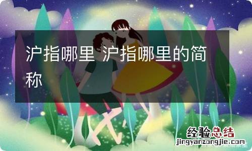 沪指哪里 沪指哪里的简称