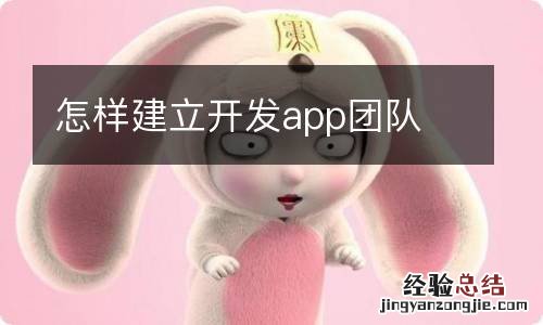 怎样建立开发app团队