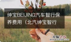 北汽绅宝智行保养 绅宝BEIJING汽车智行保养费用