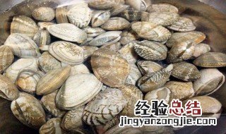 吃花蛤哪些部位不能吃 吃花蛤不能吃的部位简述