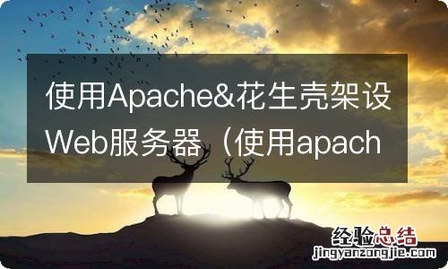 使用apache部署web网站 使用Apache&花生壳架设Web服务器