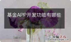 基金APP开发功能有哪些