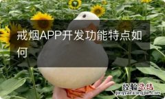 戒烟APP开发功能特点如何