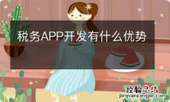 税务APP开发有什么优势