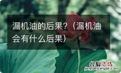 漏机油会有什么后果 漏机油的后果?