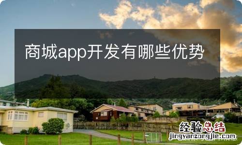 商城app开发有哪些优势