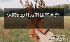 保险app开发有哪些问题