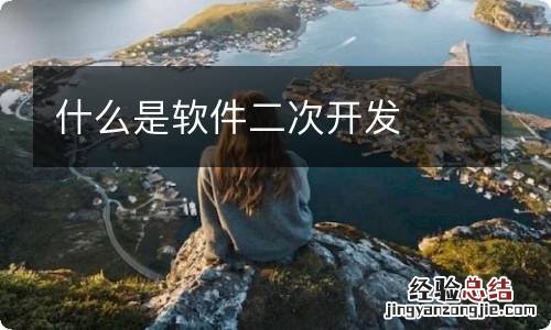 什么是软件二次开发