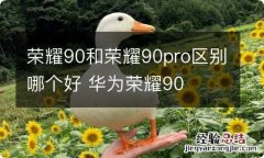 荣耀90和荣耀90pro区别哪个好 华为荣耀90