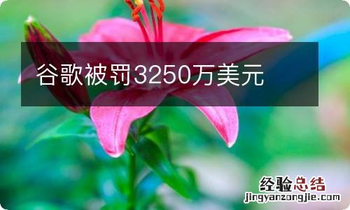 谷歌被罚3250万美元