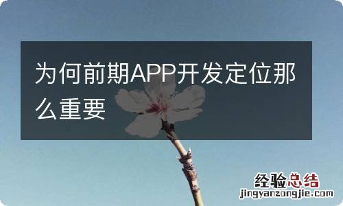 为何前期APP开发定位那么重要