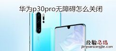 华为p30pro无障碍怎么关闭