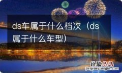 ds属于什么车型 ds车属于什么档次