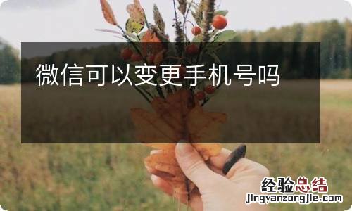 微信可以变更手机号吗
