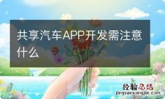 共享汽车APP开发需注意什么