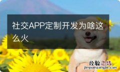 社交APP定制开发为啥这么火