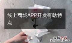 线上商城APP开发有啥特点