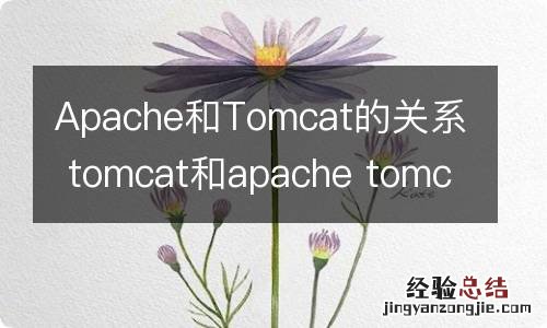 Apache和Tomcat的关系 tomcat和apache tomcat的区别