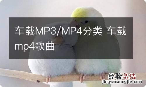 车载MP3/MP4分类 车载mp4歌曲