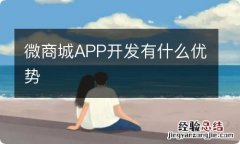 微商城APP开发有什么优势