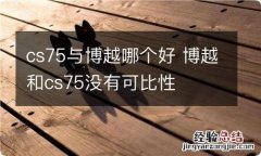 cs75与博越哪个好 博越和cs75没有可比性