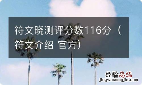 符文介绍 官方 符文晓测评分数116分