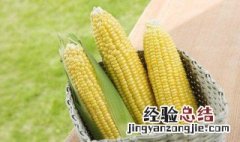 玉米棒怎么放冰箱保鲜 玉米棒怎么放冰箱保鲜好