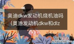 奥迪发动机dkw和dlz 奥迪dkw发动机烧机油吗