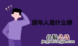 原年人是什么梗