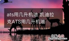 ats用几升机油 凯迪拉克ATS用几升机油