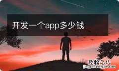 开发一个app多少钱