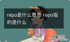 repo是什么意思 repo指的是什么