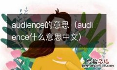 audience什么意思中文 audience的意思