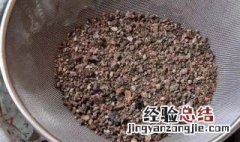 豆渣肥种菜怎么做 豆渣怎么做肥料种菜