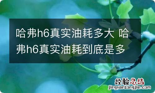 哈弗h6真实油耗多大 哈弗h6真实油耗到底是多少?