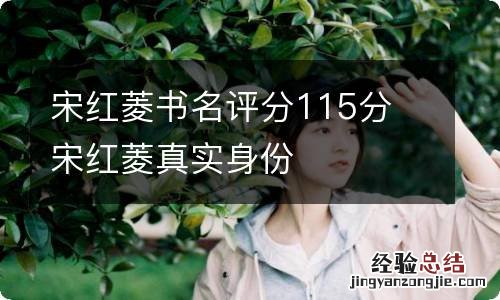 宋红菱书名评分115分 宋红菱真实身份