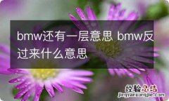 bmw还有一层意思 bmw反过来什么意思