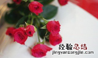 情人节送玫瑰花须知 情人节送花除了玫瑰