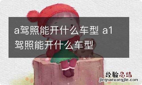 a驾照能开什么车型 a1驾照能开什么车型