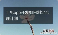 手机app开发如何制定合理计划