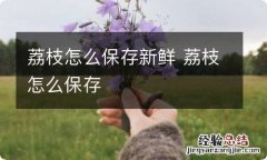 荔枝怎么保存新鲜 荔枝怎么保存