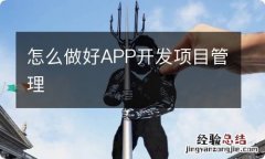 怎么做好APP开发项目管理