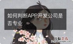 如何判断APP开发公司是否专业