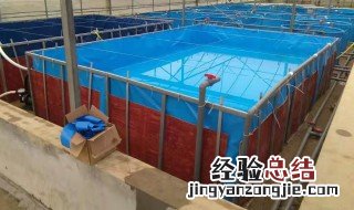 养殖鱼池生化过滤池怎么做 养殖鱼池生化过滤池怎么做好