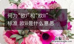 何为“欧I”和“欧II”标准 欧iii是什么意思