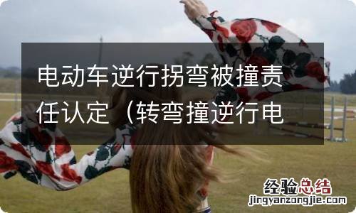 转弯撞逆行电动车是谁的责任 电动车逆行拐弯被撞责任认定