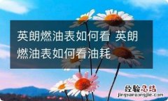 英朗燃油表如何看 英朗燃油表如何看油耗