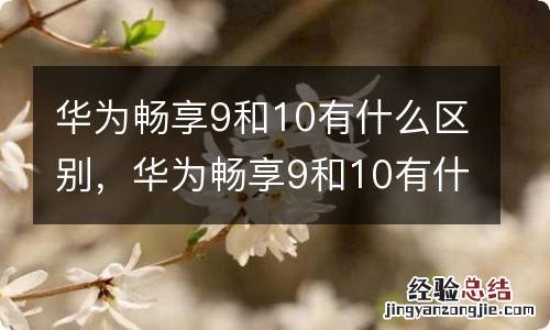 华为畅享9和10有什么区别，华为畅享9和10有什么区别吗